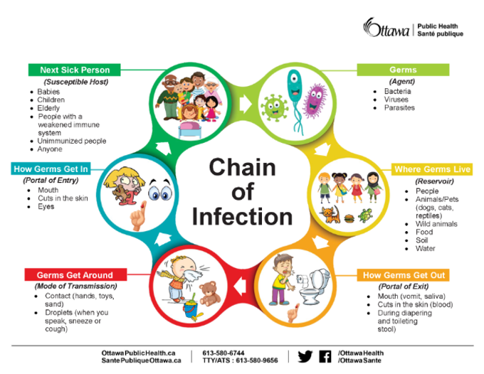 Chain of Infection Chain of Infection picture